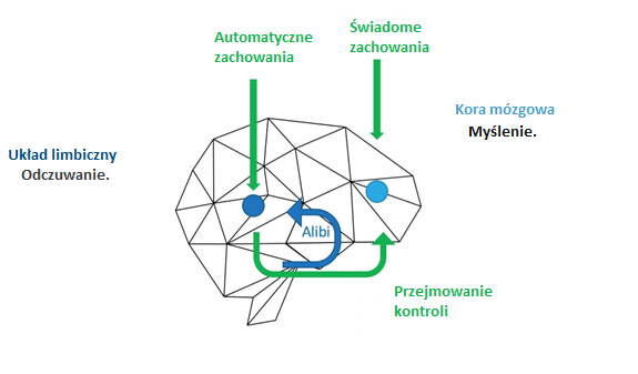 Jak przełożyć swój potencjał na wyniki?